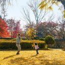 권창주 이미지