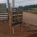 우일농장 | 초보운전자의 제주 렌트카 여행기2-1: 우도 당일치기/온오프/보롬왓 라벤더 농장