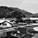용봉축산