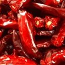 양달농장 이미지