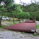 소나무농원 캠핑장 이미지