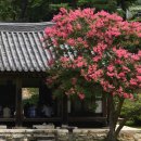 구연4로 이미지