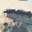 에스씨 오토모티브 이미지