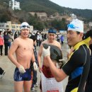 거제도국제펭귄수영축제 이미지