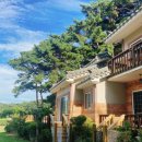 휴양림3170 | 루이와 가을 첫 여행 (태안 대형견 애견펜션에서)