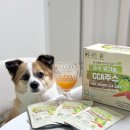 유니바이오 | 유니바이오 순수 유기농 CCA주스 NFC 착즙 당근양배추사과주스