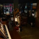 2214 | 제주 연동 분위기 좋은 제주 칵테일바 프리베 솔직후기