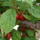 전국민박 이미지