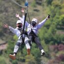 산삼휴양밸리(대봉캠핑랜드) 이미지