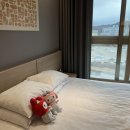 속초당 | 속초 가성비 호텔 체스터톤스호텔 내돈내산 후기