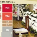 보람상조애니콜 이미지