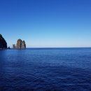 병천 토종 순대 이미지
