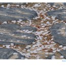 우암산순환로 이미지