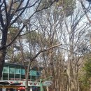 부산어린이대공원 이미지