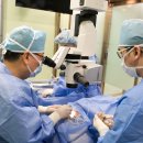 성모진안과의원 이미지