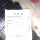 7월23일 이미지