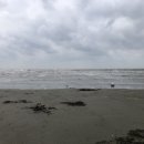 오구시포펜션 이미지