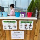 용인농장 | 11개월 아기랑 용인 무럭무럭농장 내돈내산 어린이날 방문 후기