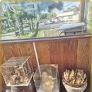 신안맛집 이미지