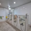 문화불한증막 이미지