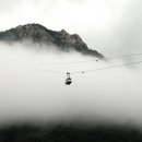 포유콘도 이미지