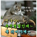 용서의힘 ㅡ 처벌 대신 용서로 ㅡ구원하는 감동적인 스토리가 많다ㅡ 서울 용산에서 국숫집을 하던 배혜자 할머니는 생전에 노숙자에게 이미지