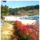 북캠프지오 이미지