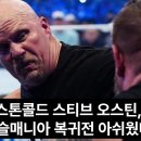 스톤 콜드, 내추럴 디재스터스, 나카무라 신스케, 스테파니 맥마흔 外 이미지