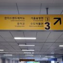 벚나무길 이미지