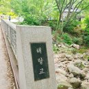 용문막국수 | 날짜 잘못알고 방문한 용문역에서 만난 막국수집 '용문막국수' 회막국수와 양념막국수 내돈내산 솔직후기-