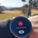 그라운드골프장 | 전라남도 영암 아크로CC, 전남 명문 골프장 라운딩 후기: TOP10 골프장의 품격 feat. 전라도 맛집