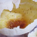 임채순베이커리