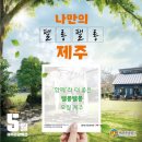 팰롱팰롱 한국일보