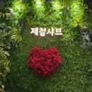 경기도 수원시 장안구 파장천로44번길 이미지