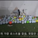 경주스크린