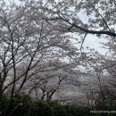 하당근린공원 이미지