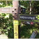 바람고개길 이미지