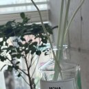 샵모하 | 향기로 완성한 운동 공간, 은은한 향이 오래 남는 모하 서울 홈 프래그런스 후기