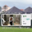 문화로2L | 발리 → 청주 티웨이 후기｜공항 체크인·수하물·기내·면세점