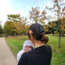 용산-이촌-141 이미지