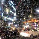 우리국악사 - 광양시 사곡로 149 | 우리국악사