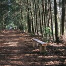 청초농장 이미지