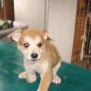 구원농장 이미지