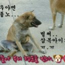 같이