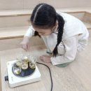 우리동네펫 | 우리동네키움센터 키즈아로마 클래스 후기 - 천연립밤+키링 만들기