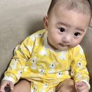 베베따 | 알파베베 신생아바디수트 80사이즈 아기옷 착용후기