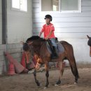 임자남초등학교 이미지