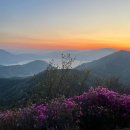 남해-307 이미지