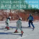 곤지암 스키강습 예약부터 강습 과정까지 후기