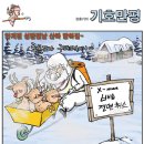 오늘의 신문 시사만평(2010/12/24...금) 이미지